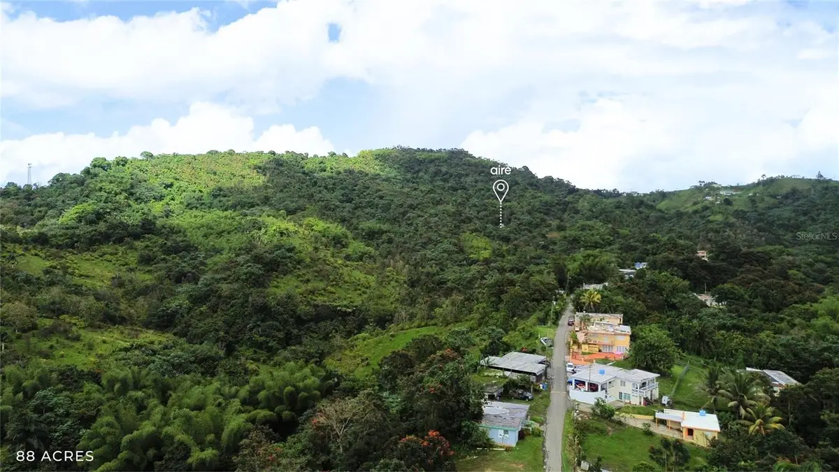 PR-181 km 11.0 Cayaguaz, San Lorenzo, PR 00754 - #1