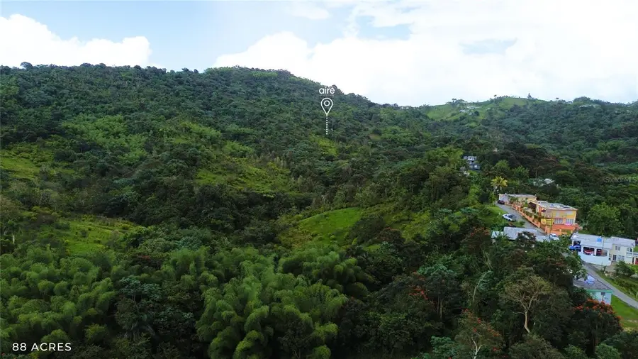 PR-181 km 11.0 Cayaguaz, San Lorenzo, PR 00754 - #2