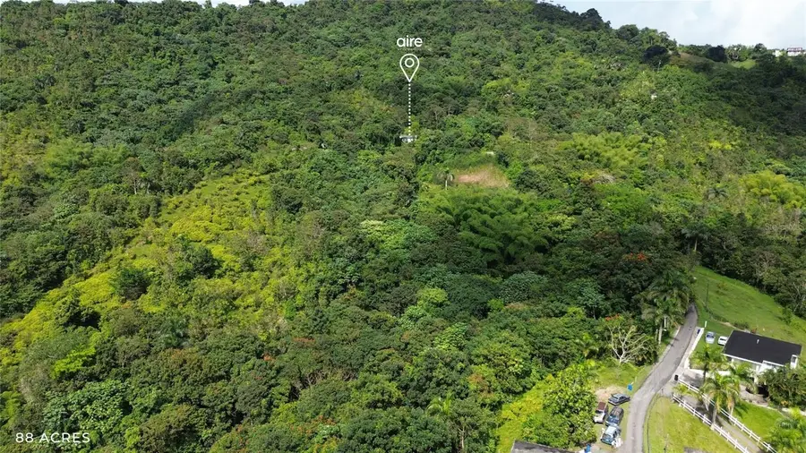 PR-181 km 11.0 Cayaguaz, San Lorenzo, PR 00754 - #3