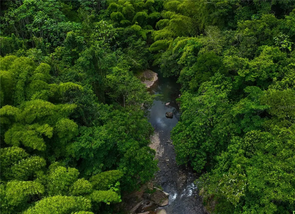 SR 146 Km. 19.4 Interior Bo Cordillera, Ciales, PR 00638 - #1