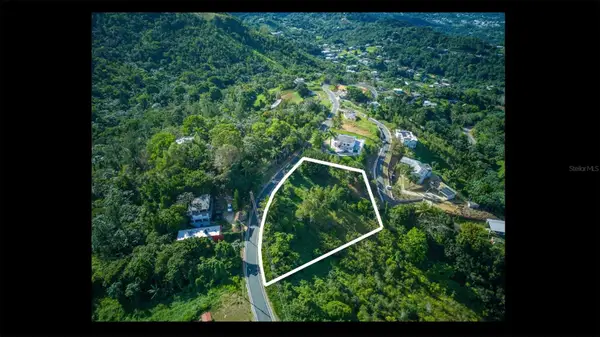 PR-879 Bo Guaraguao-vistas De Ensueo #8, BAYAMON, PR 00956