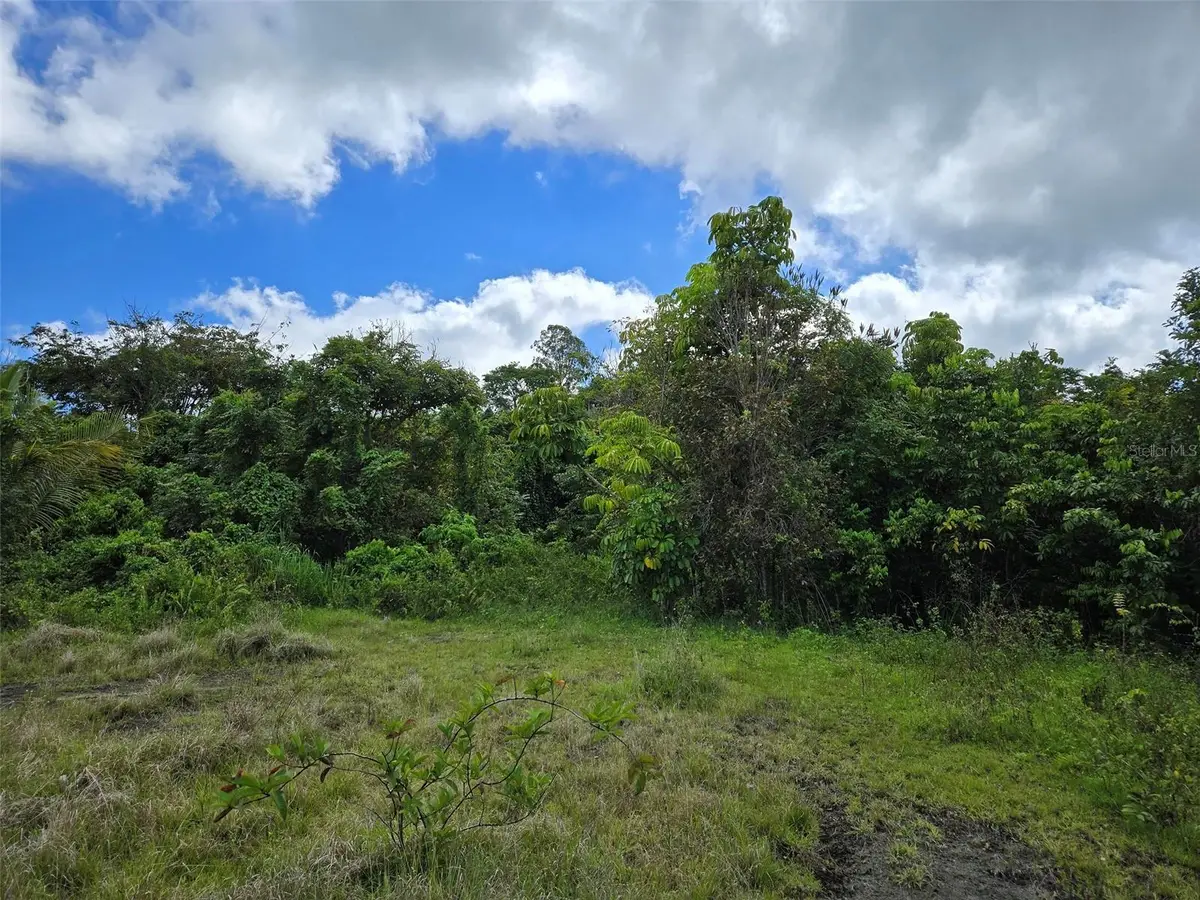 PR 7718 KM 4.1 Pasto Ward, Aibonito, PR 00705 - #1