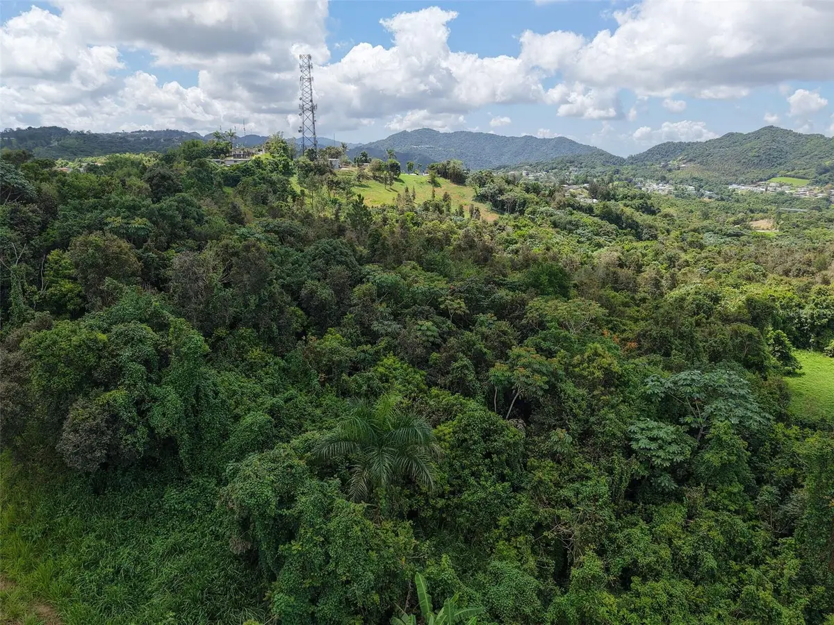 PR 7718 KM 3.6 Pasto Ward, Aibonito, PR 00705 - #1