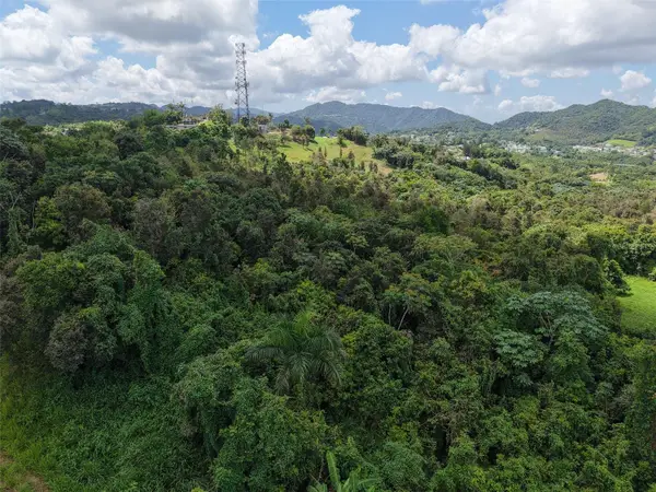 PR 7718 KM 3.6 Pasto Ward, AIBONITO, PR 00705