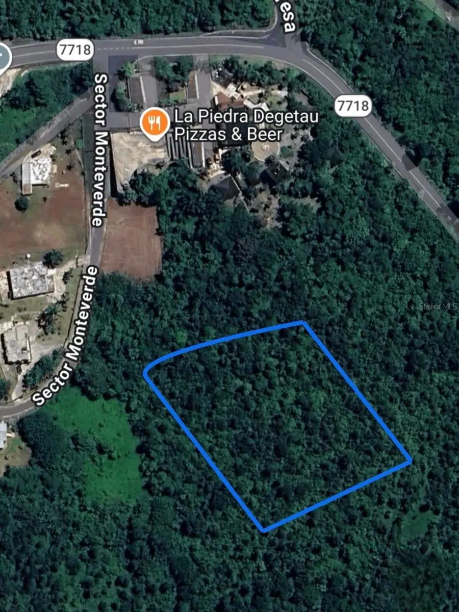 PR 7718 KM 3.6 Pasto Ward, Aibonito, PR 00705 - #3