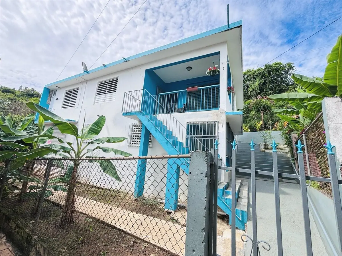 CALLE MARTIN BARRY Lote 4, Sector Sal Si Puedes, Orocovis, PR 00720 - #1