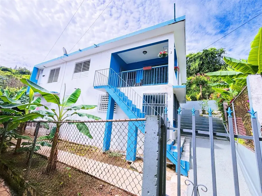CALLE MARTIN BARRY Lote 4, Sector Sal Si Puedes, Orocovis, PR 00720 - #3