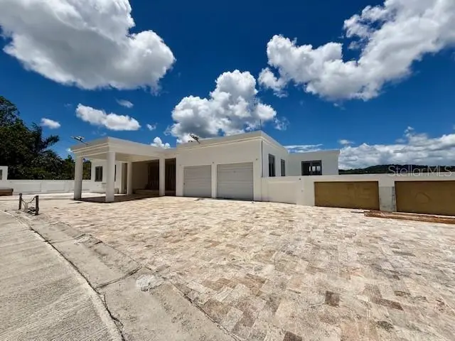 CARR 171 Mogote, Cayey, PR 00736 - #1