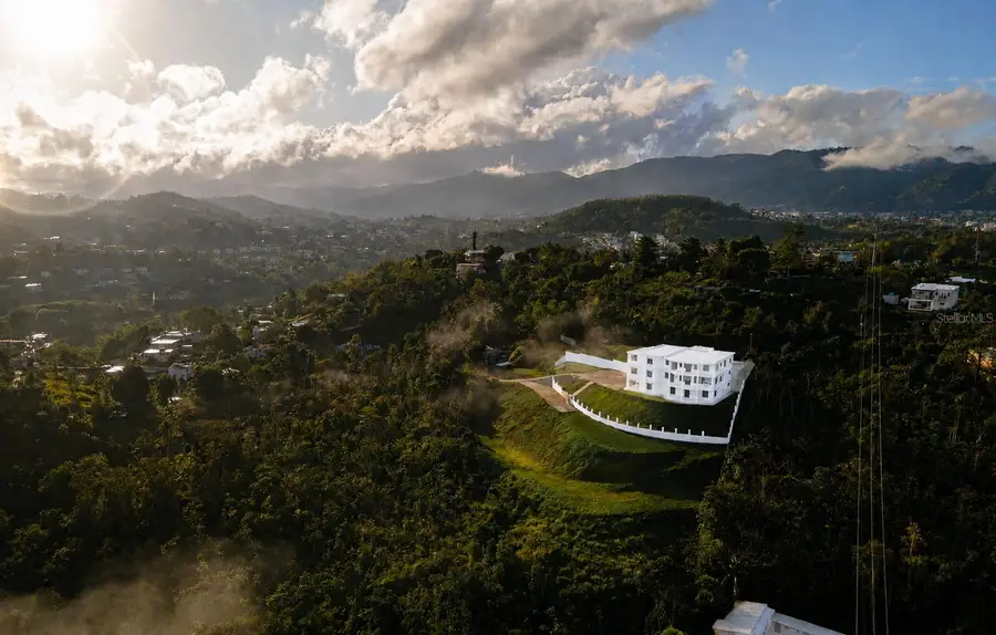 CARR 171 Mogote, Cayey, PR 00736 - #3