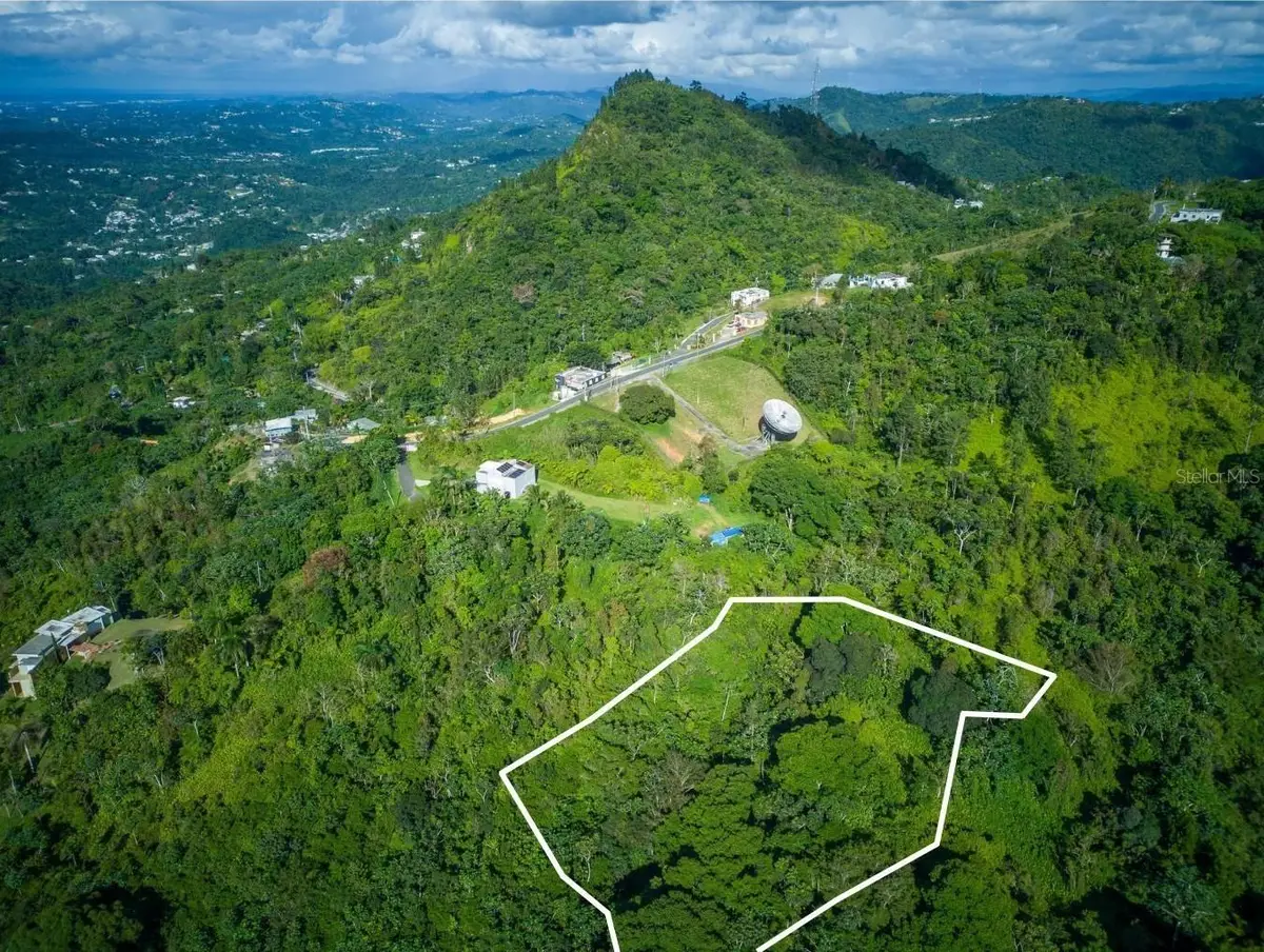PR 879 Bo Guaraguao Arriba #3, Bayamon, PR 00956 - #1