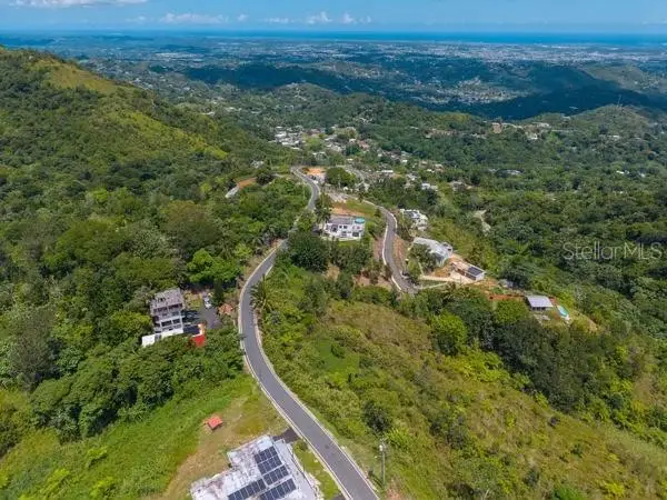 PR 879 Bo Guaraguao Arriba #3, Bayamon, PR 00956 - #2