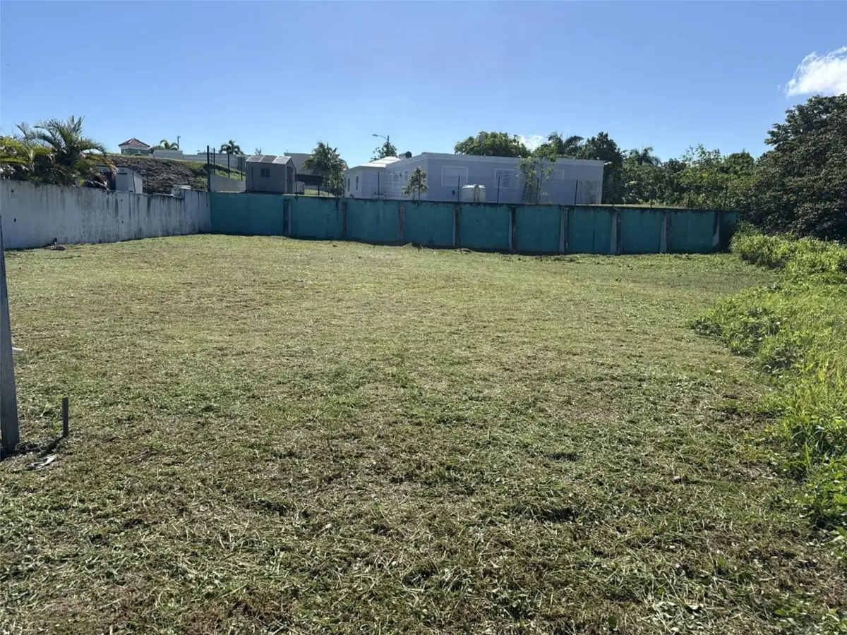 7 Viena #21, Toa Alta, PR 00953 - #1