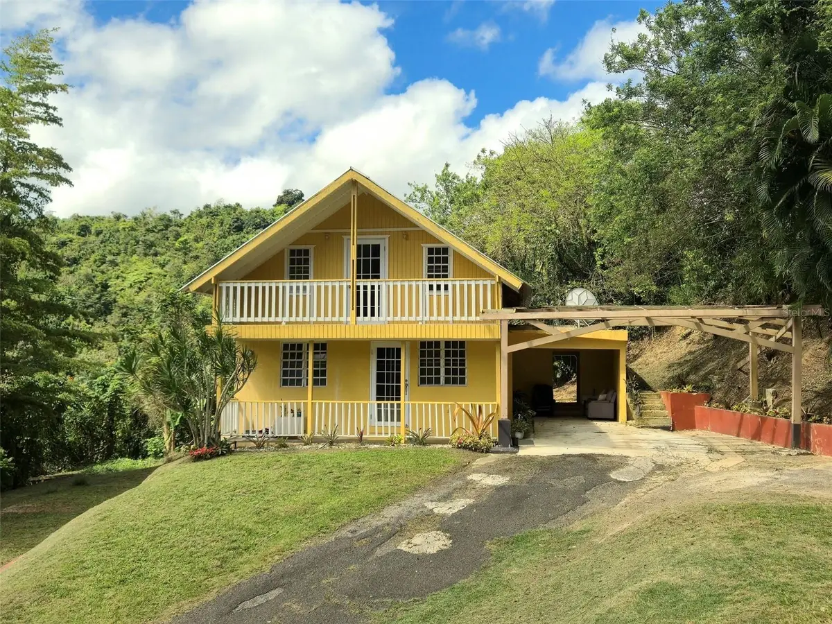 PR 770 KM 5.5 Caabn Ward, Barranquitas, PR 00794 - #1
