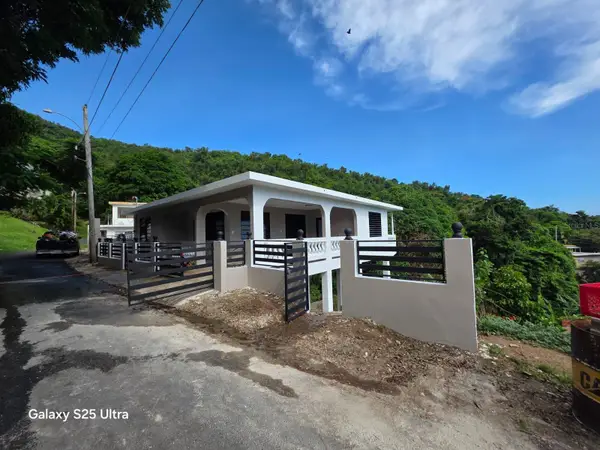290 Calle Ceiba, PATILLAS, PR 00723
