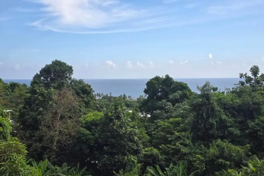 290 Calle Ceiba, Patillas, PR 00723 - #3