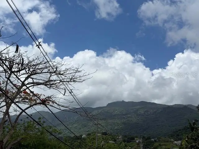 Bo Jimenez Carr 966, Rio Grande, PR 00745 - #2