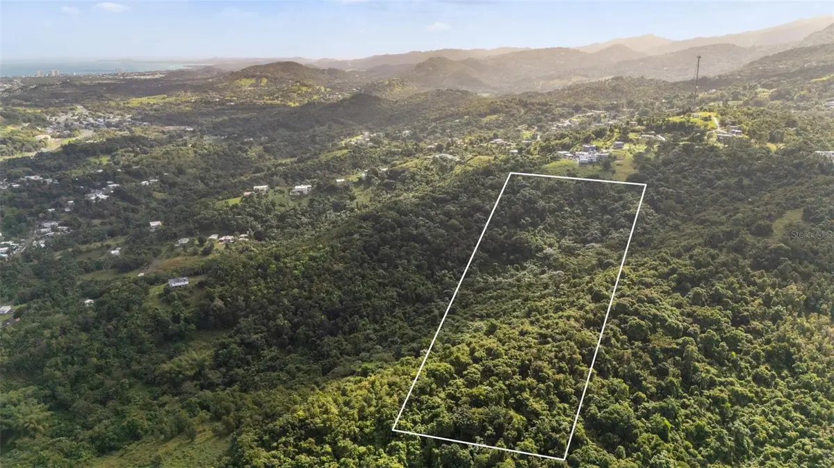 966 Zarzal Road, Rio Grande, PR 00745 - #1