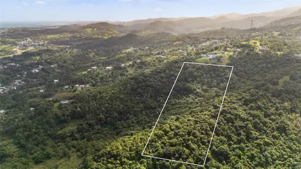 966 Zarzal Road, RIO GRANDE, PR 00745
