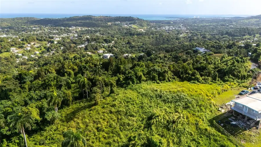 966 Zarzal Road, Rio Grande, PR 00745 - #3