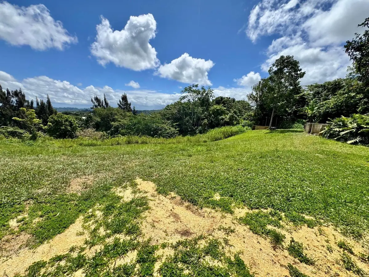 Camino Vitoriano, Lares, PR 00669 - #1