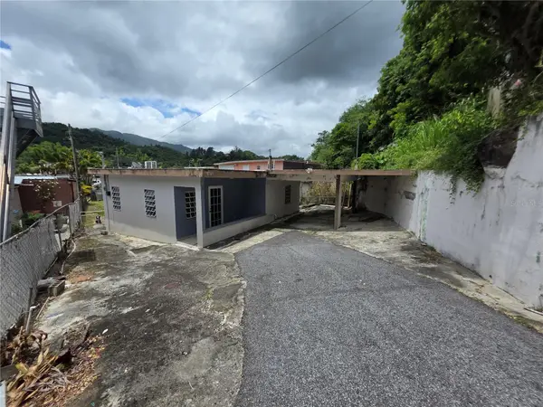 23 Aldrin, JAYUYA, PR 00664