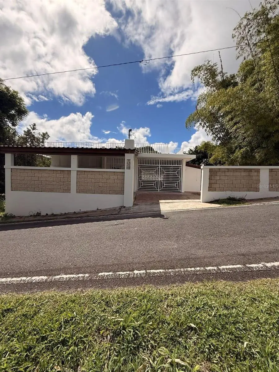 PR 7790 Juan Asencio Juan Asencio, Aguas Buenas, PR 00703 - #1