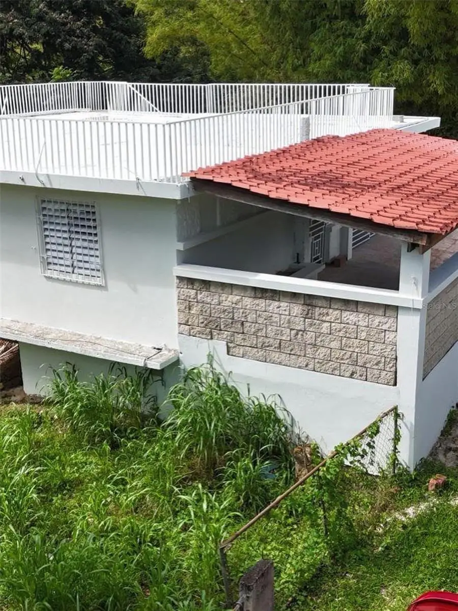 PR 7790 Juan Asencio Juan Asencio, Aguas Buenas, PR 00703 - #3