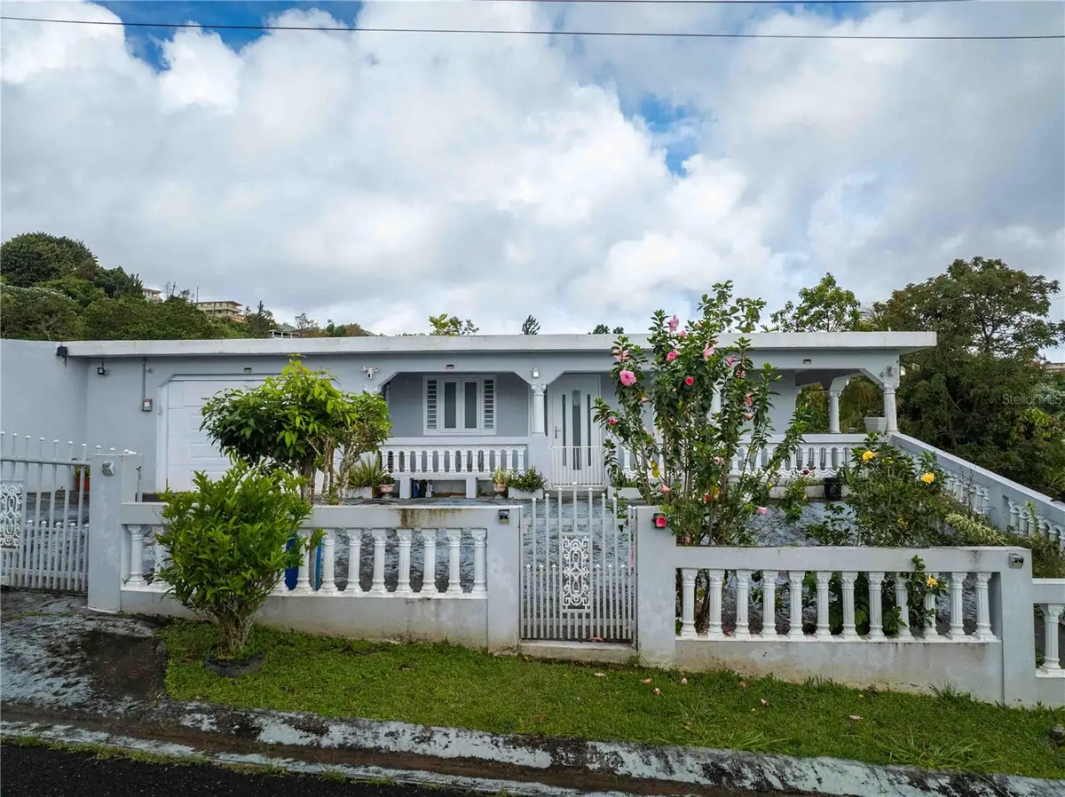 Carr 7765 Km. 7.8 Bo. San Salvador Sector Hato Arriba, Caguas, PR 00725 - #1