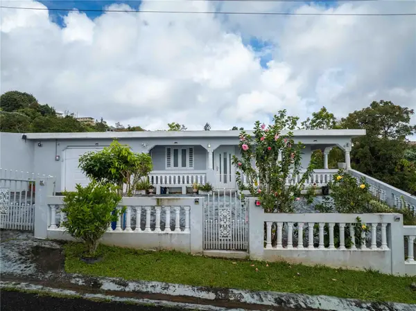 Carr 7765 Km. 7.8 Bo. San Salvador Sector Hato Arriba, CAGUAS, PR 00725