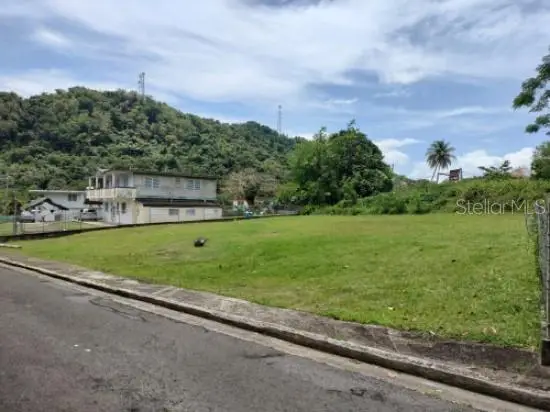 Carr. 98.5, FAJARDO, PR 00738