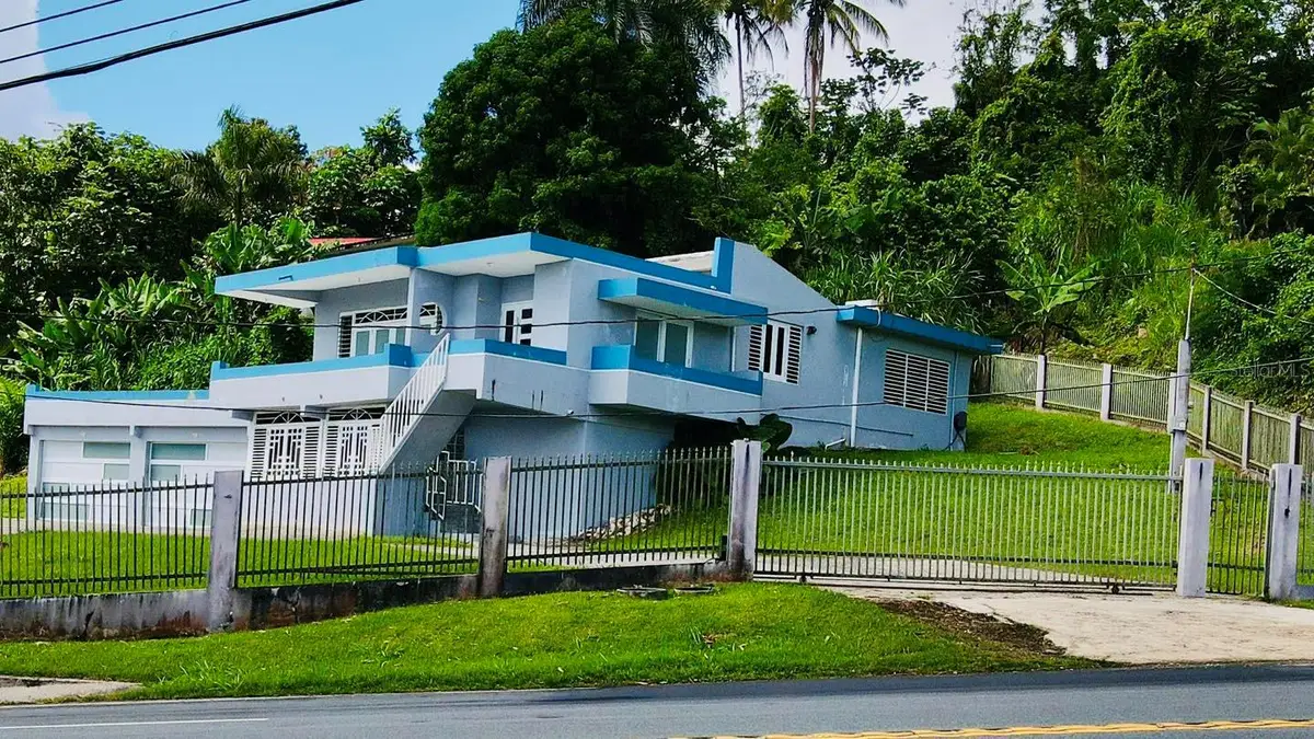 172 Km, Hm 3.3 Bo Canaboncito, Caguas, PR 00725 - #1