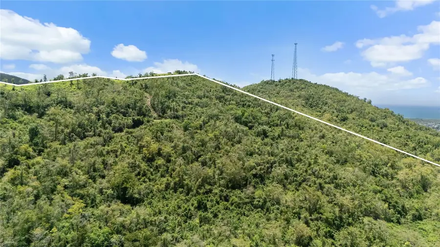 PR-748 Caimital, Guayama, PR 00784 - #2