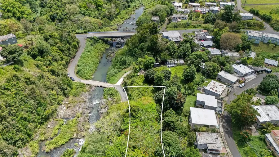 7731 Barrio Rincon, Cidra, PR 00739 - #2
