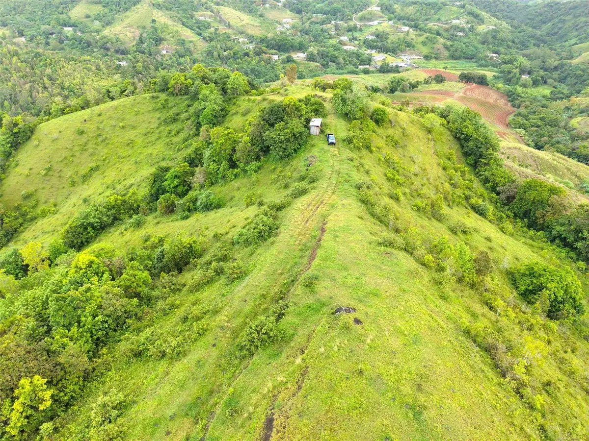 PR 770 KM 2.9 Palo Hincado Ward, Barranquitas, PR 00794 - #1