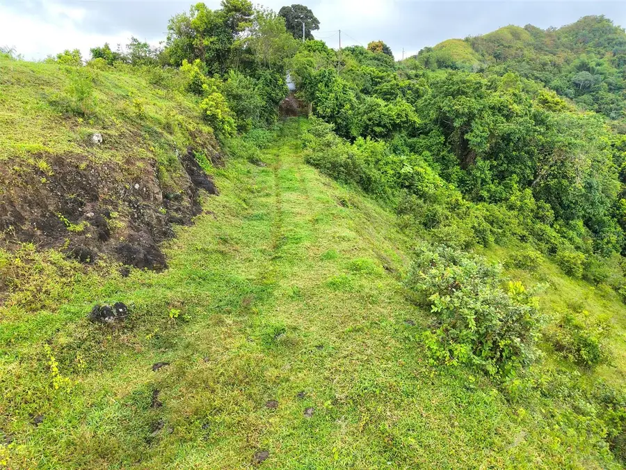 PR 770 KM 2.9 Palo Hincado Ward, Barranquitas, PR 00794 - #2