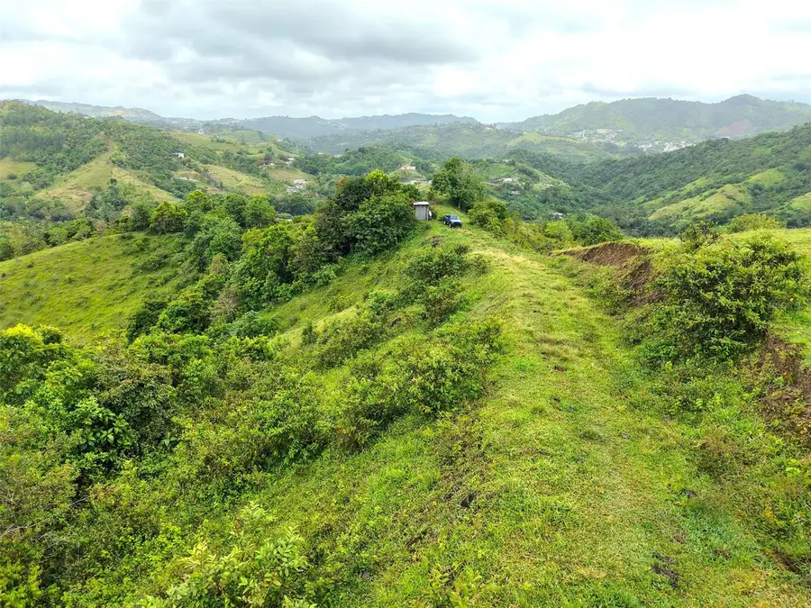 PR 770 KM 2.9 Palo Hincado Ward, Barranquitas, PR 00794 - #3