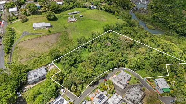 7731 Barrio Rincon, CIDRA, PR 00739
