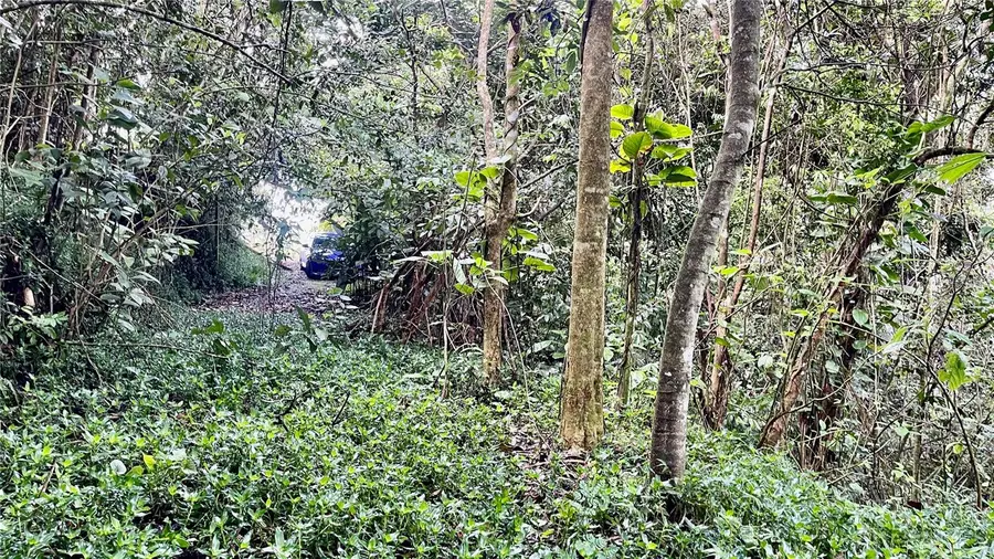 718 Bo. Pasto Road, Aibonito, PR 00705 - #2