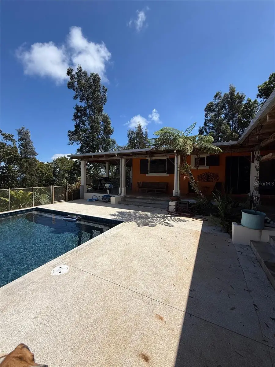 Address Withheld By Seller, Bayamon, PR 00959 - #2