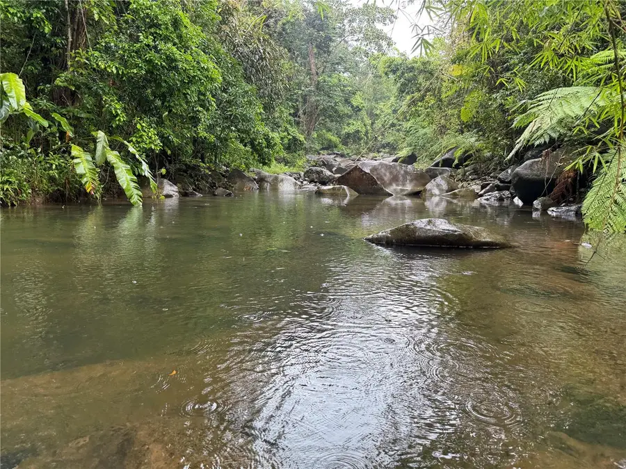 KM 22.1 Pr 186, Rio Grande, PR 00745 - #3