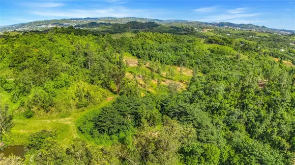 63 Sector Monticello, CIDRA, PR 00739