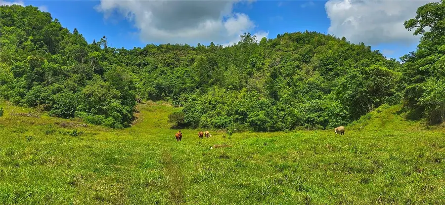 Carr 626 Bo Calichoza, Arecibo, PR 00613 - #3