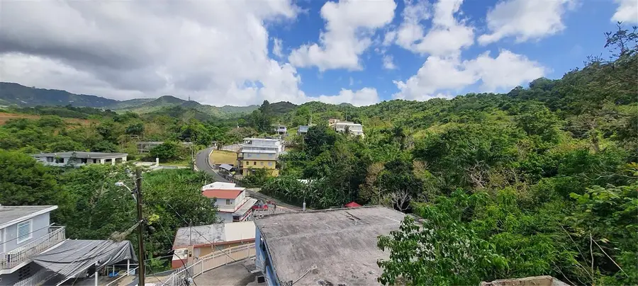 H-155 Buena Vista, Toita Ward, La Herradura Sector, Cayey, PR 00736 - #2