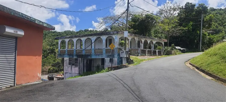 H-155 Buena Vista, Toita Ward, La Herradura Sector, Cayey, PR 00736 - #3