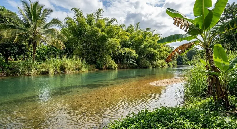 119 Carr 119 Bo Pozas, San Sebastian, PR 00685 - #2