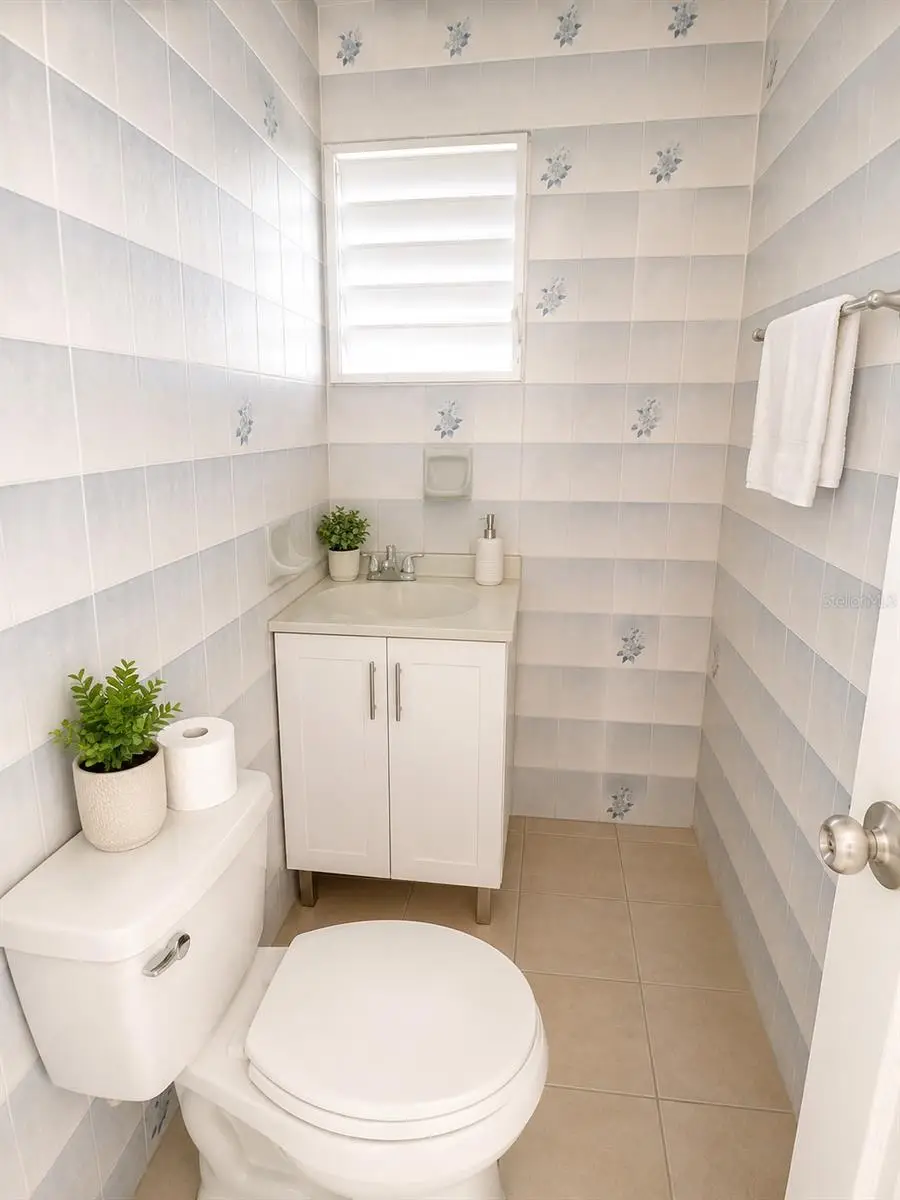 11 Singapur, Juana Diaz, PR 00795 - #3
