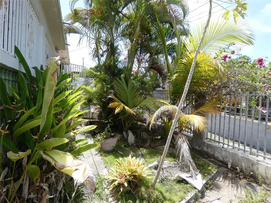491 Calle Gladiola, Vieques, PR 00765 - #3