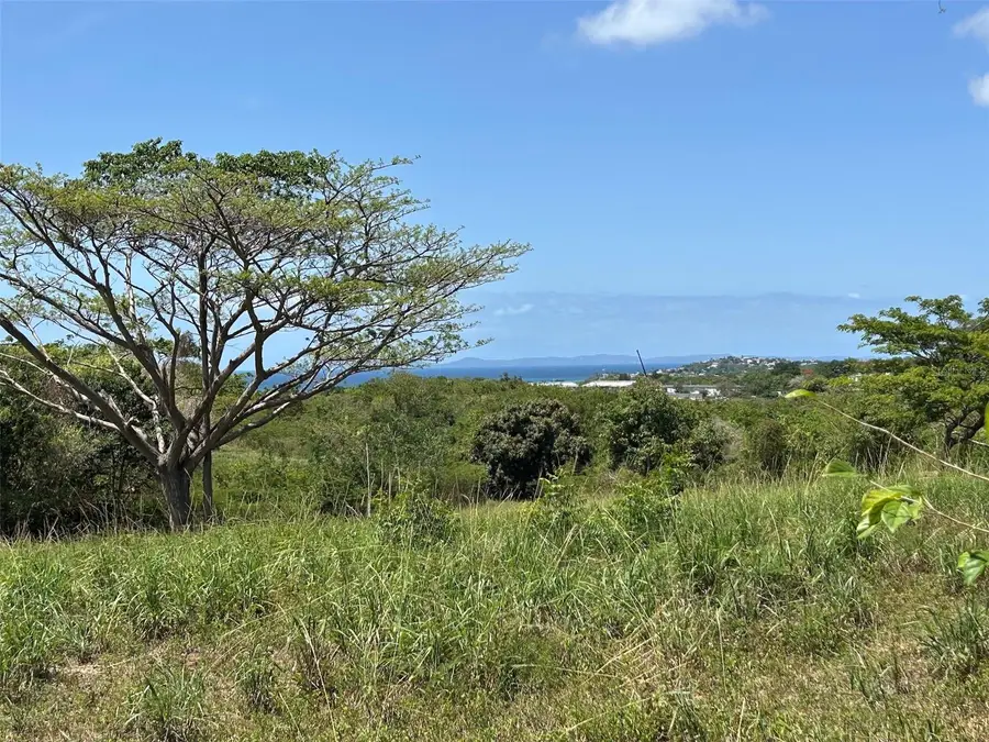 Martineau Interior, Vieques, PR 00765 - #3