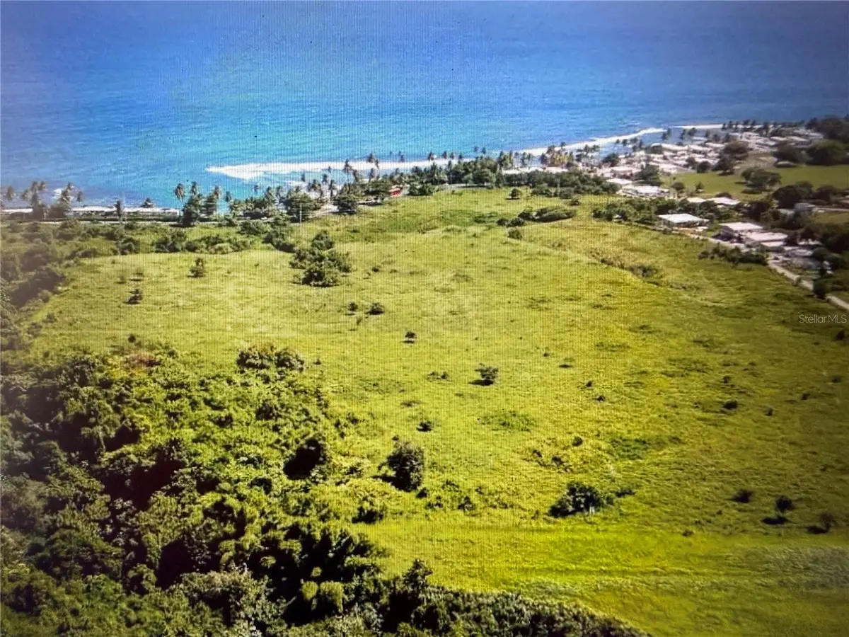 20 Hwy 7758, Patillas, PR 00723 - #1