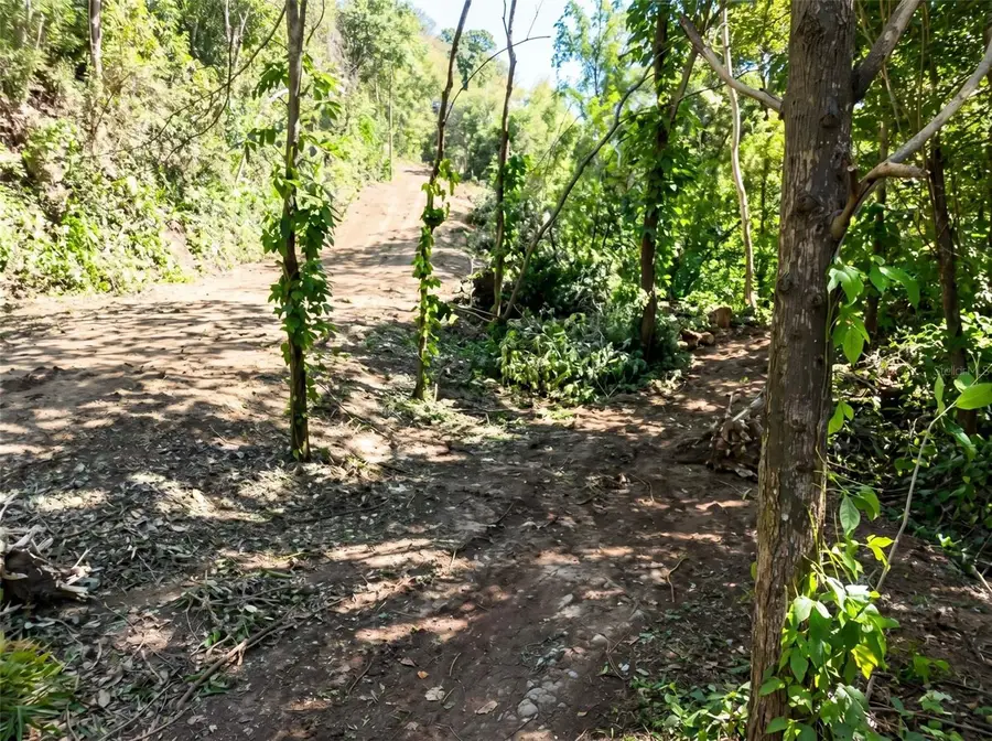 Ave Orquidea Urb Valencia, Bayamon, PR 00959 - #3